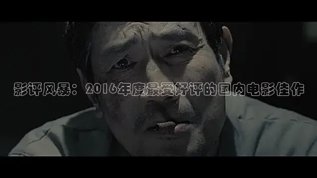 影评风暴：2016年度最受好评的国内电影佳作
