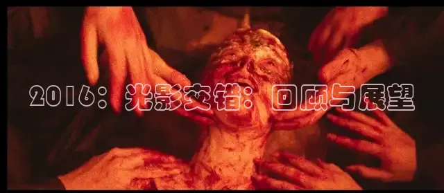 2016：光影交错：回顾与展望